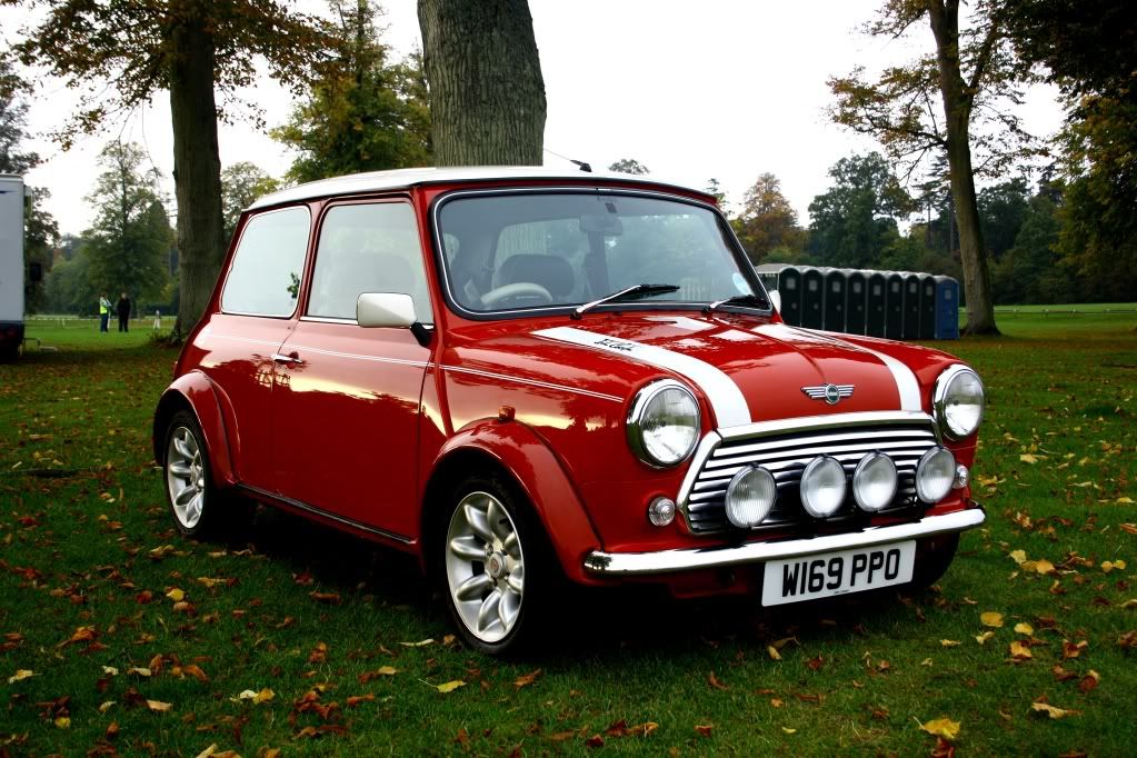 the mini