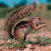 Bloomin Insurance! - last post by DandyUK