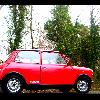 1988 Mini City E 998cc - last post by mini mark