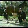 New water pump - last post by nicmate