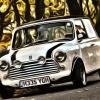 Mini In The Autumn :) - last post by johnwebster