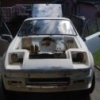 Project Zippy - Mk1 1981 Midas Project. - last post by MrBounce