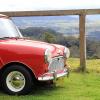 1964 Mk1 Morris 850 - last post by timmy850